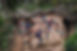 70733612_10156995185277326_2356754323179831296_n.jpg