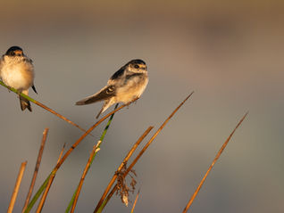 Benefits of a break from photography