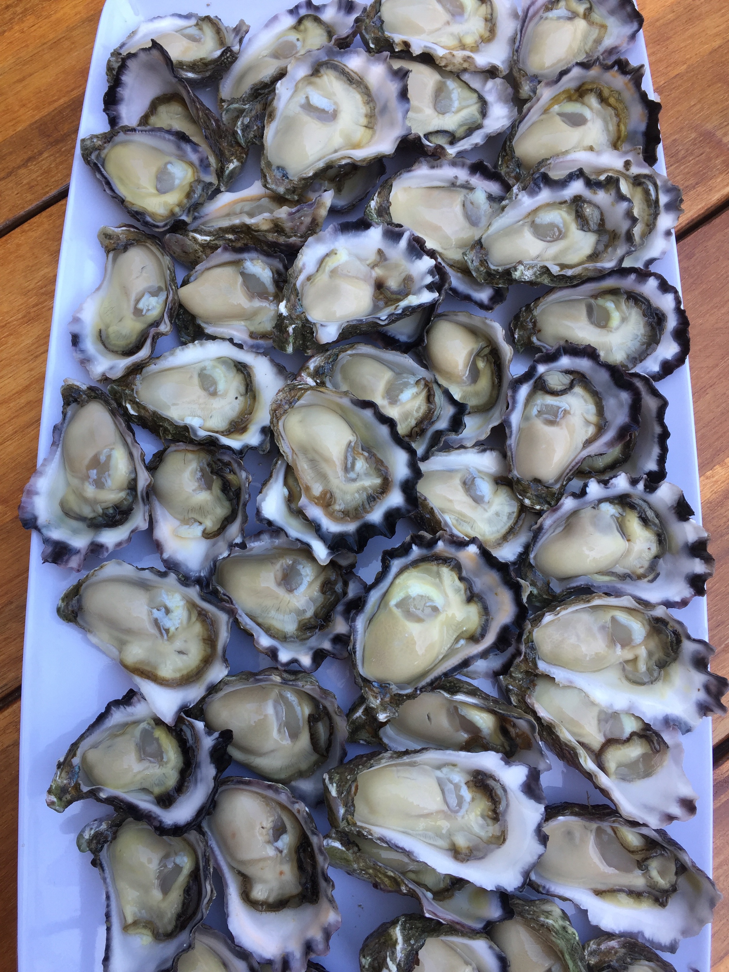 Superior Oysters Merimbula Lake Oysters Sapphire Coast