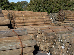 Treated Timber Posts