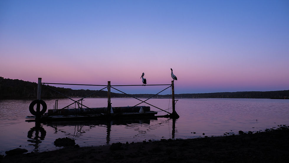 Dealing with grief and loss through photography