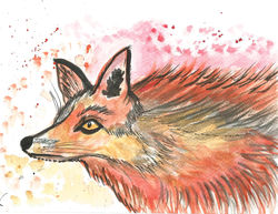 foxy