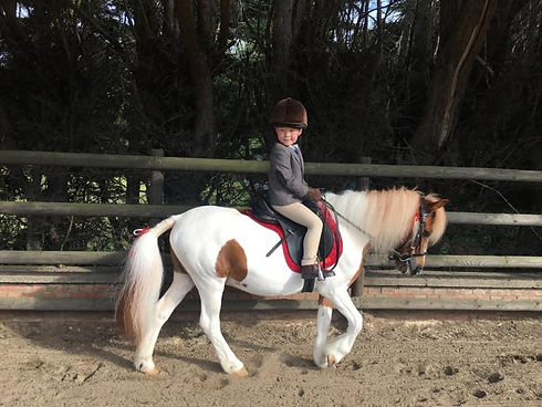 louis houbie pony day.jpeg