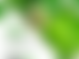 🌲 𝗙𝗢𝗥𝗘𝗦𝗧 𝗕𝗔𝗧𝗛𝗜𝗡𝗚 𝗔 𝗠𝗔𝗟𝗘𝗦𝗖𝗢 🌿
