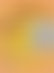 La vera storia del Carnuà di Tapiolandia