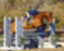 71C05FC6-A05E-4CDF-BD1D-867E0A217282_1_201_a.jpeg