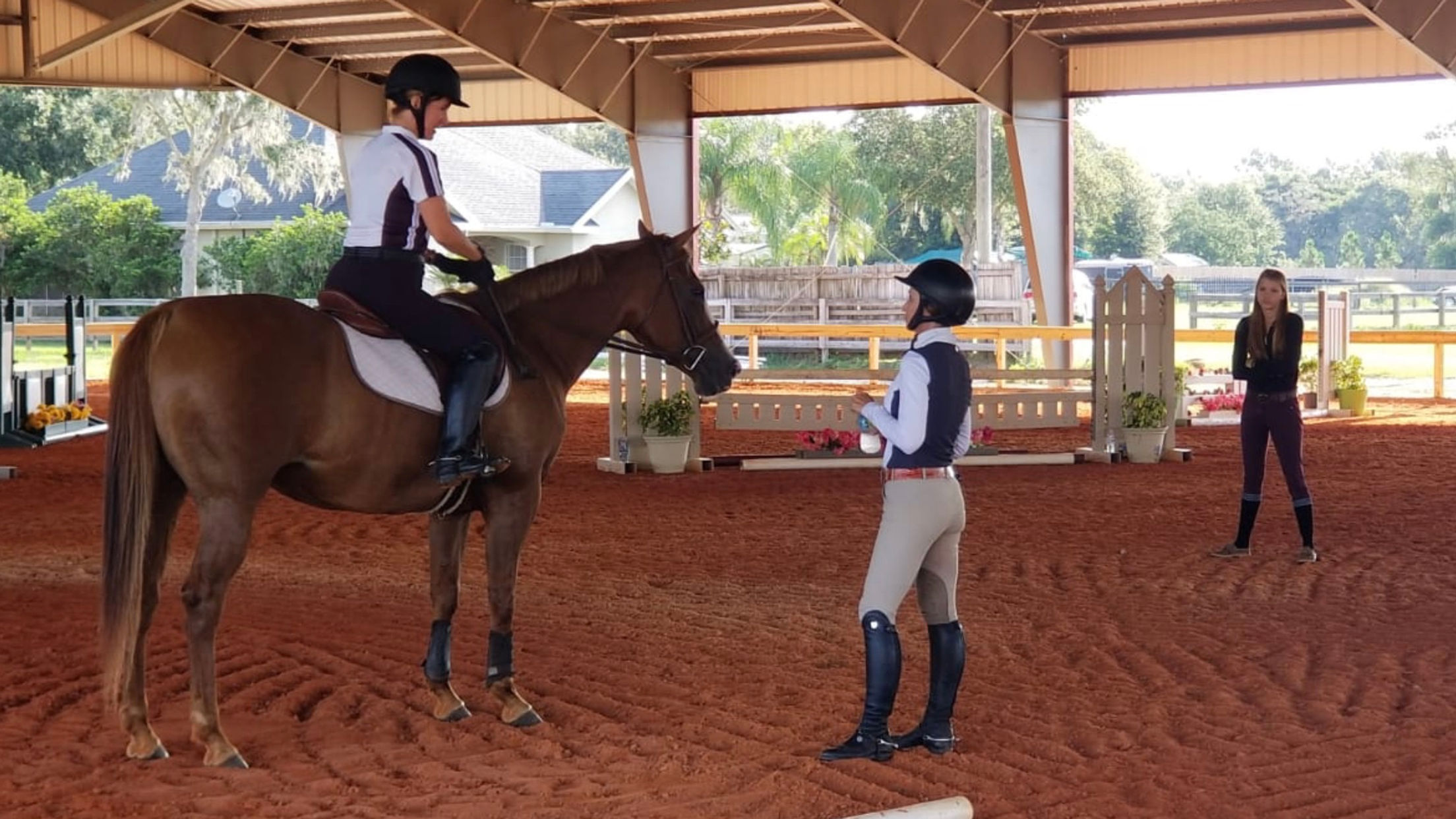 hunter jumper trainer and student