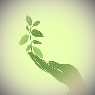 What is Creationism? And What Story Does It Have?