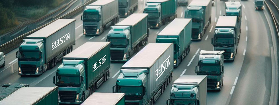 Facebook coveris REISON.jpg