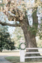 Morgan Renee Photography