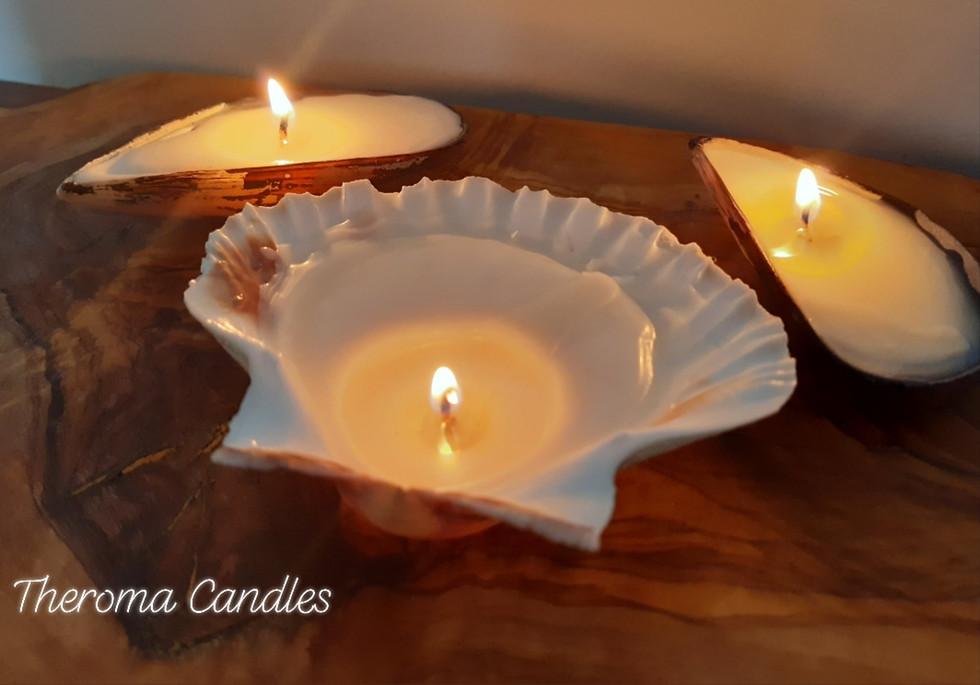 Thumbnail: Cornish Seashell Collection