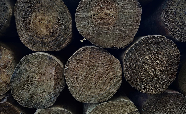 SED Poles