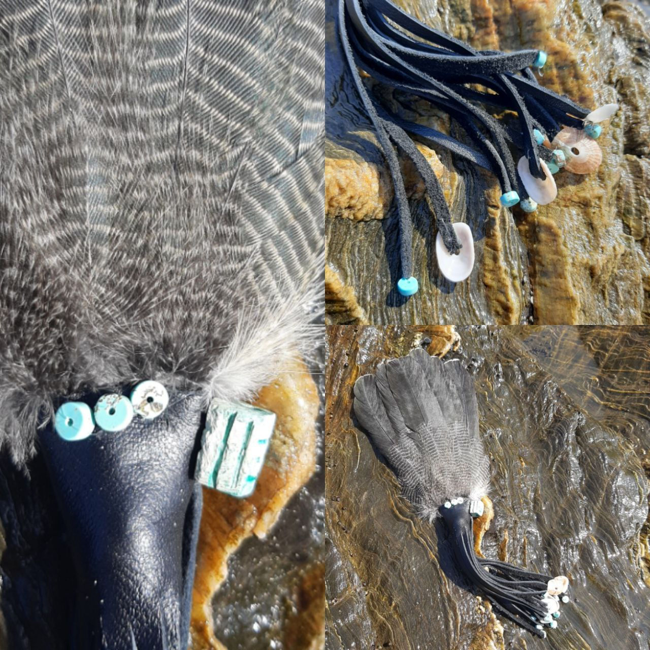 Burchell's Coucal Tail Feather Fan