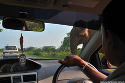 Private driver in Sri Lanka