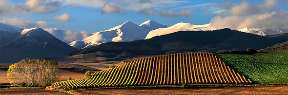 D.O.Rioja.png