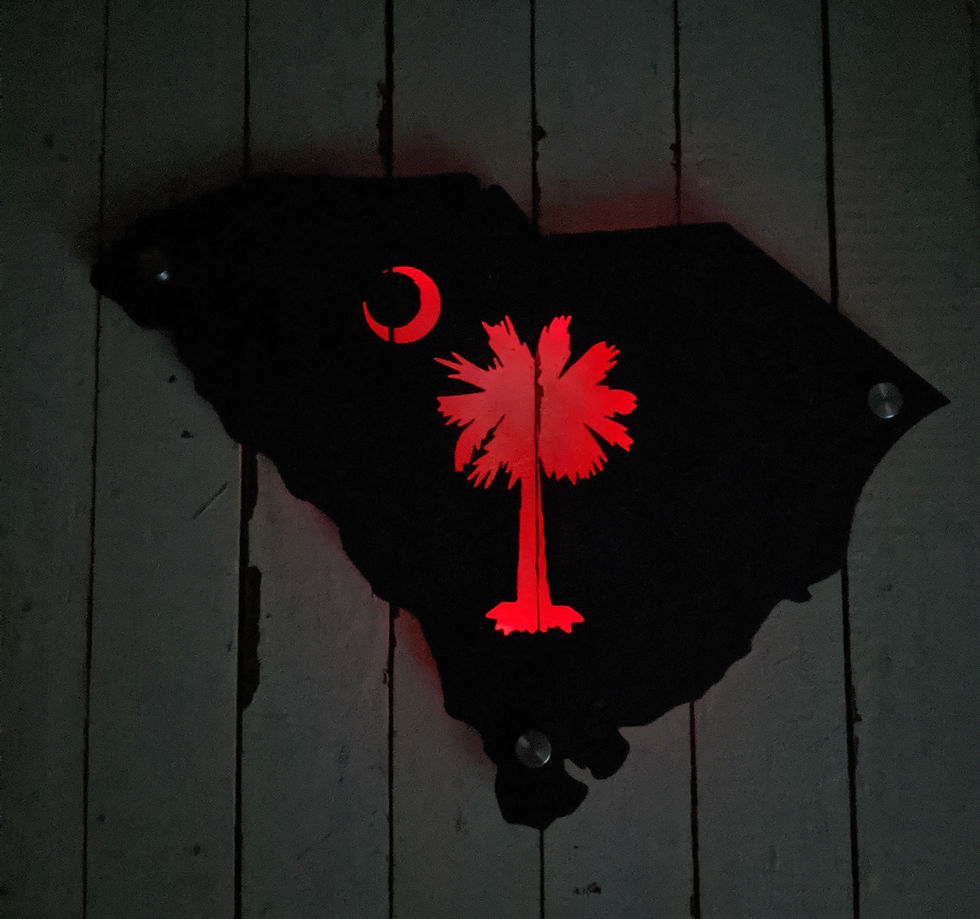 Thumbnail: Palmetto in State LIT