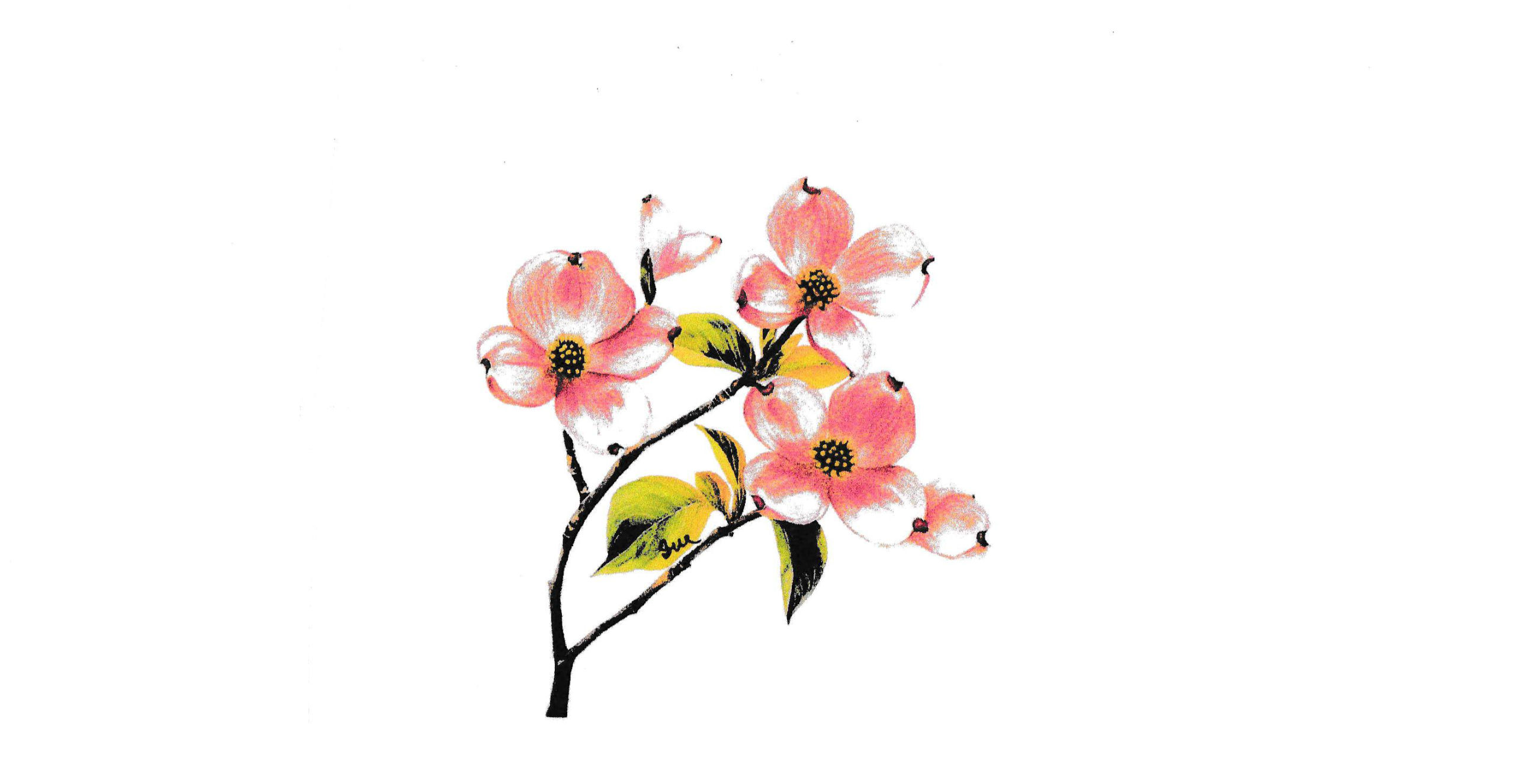 Pink Dogwood Branch Notecards