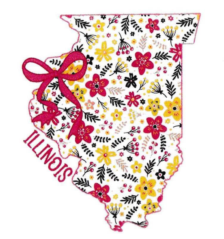 State of lllinois Notecards, with Pink Bow Notecards