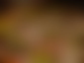 Mi Casa Es Su Casa: Unveiling the Heart and Flavor of Casa 305