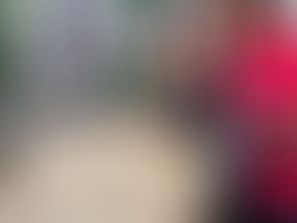 A Slice of Heaven: Orlando's Top Two Pizza Places - Gitto's Pizza and Black Magic Pizza