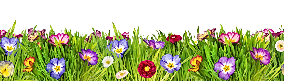 AdobeStock_141559088.jpeg