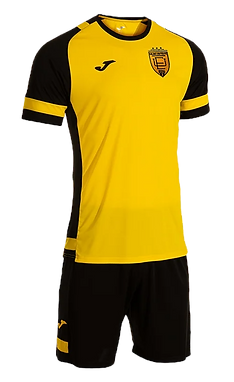 EUFC kit 2025_edited.png