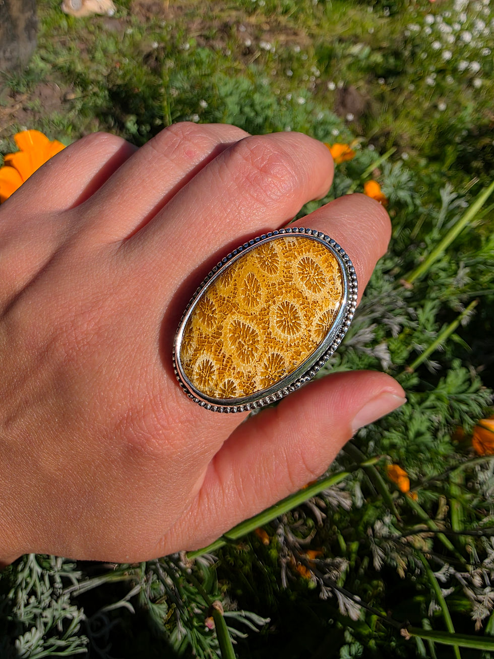Thumbnail: Fossilized Coral Ring Size 9