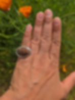 Thumbnail: Septarian Sterling Silver Ring Size 5