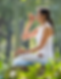 Farm Plots for sale in Hyderabad - Nivriti Farms 2.png