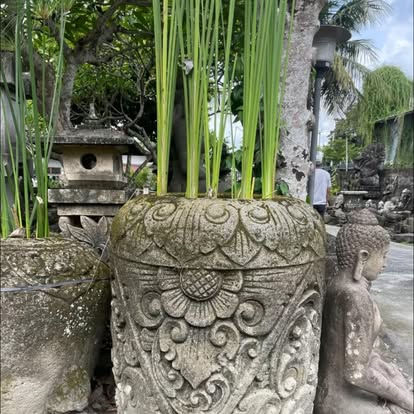 Cement Floral BOLI Vases