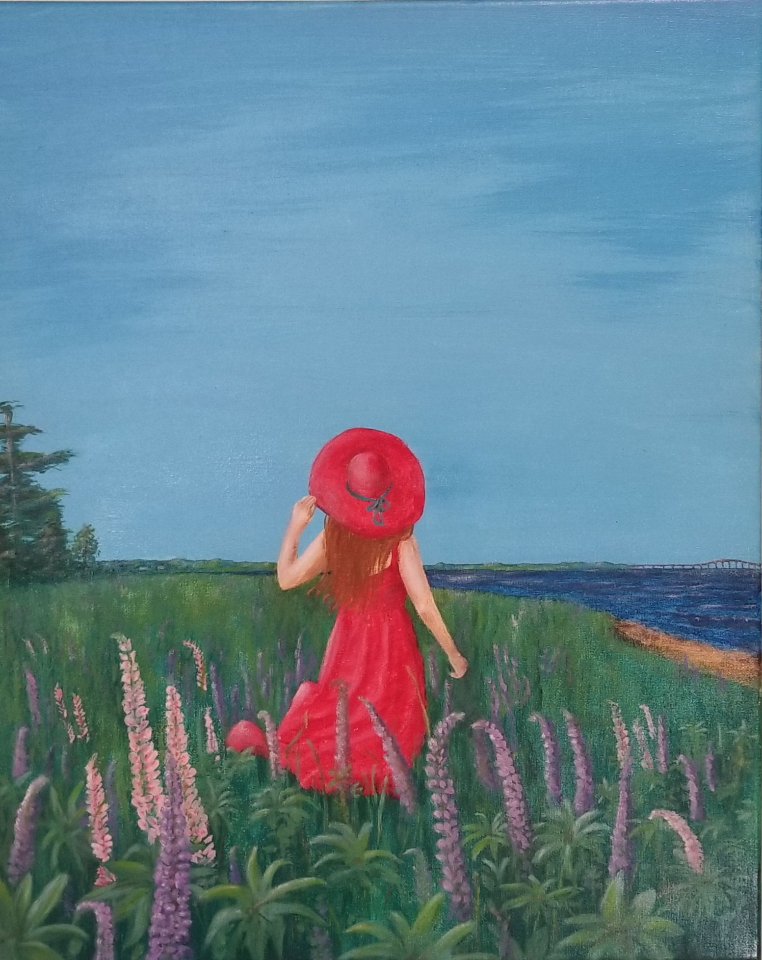 Northumberland Lupins