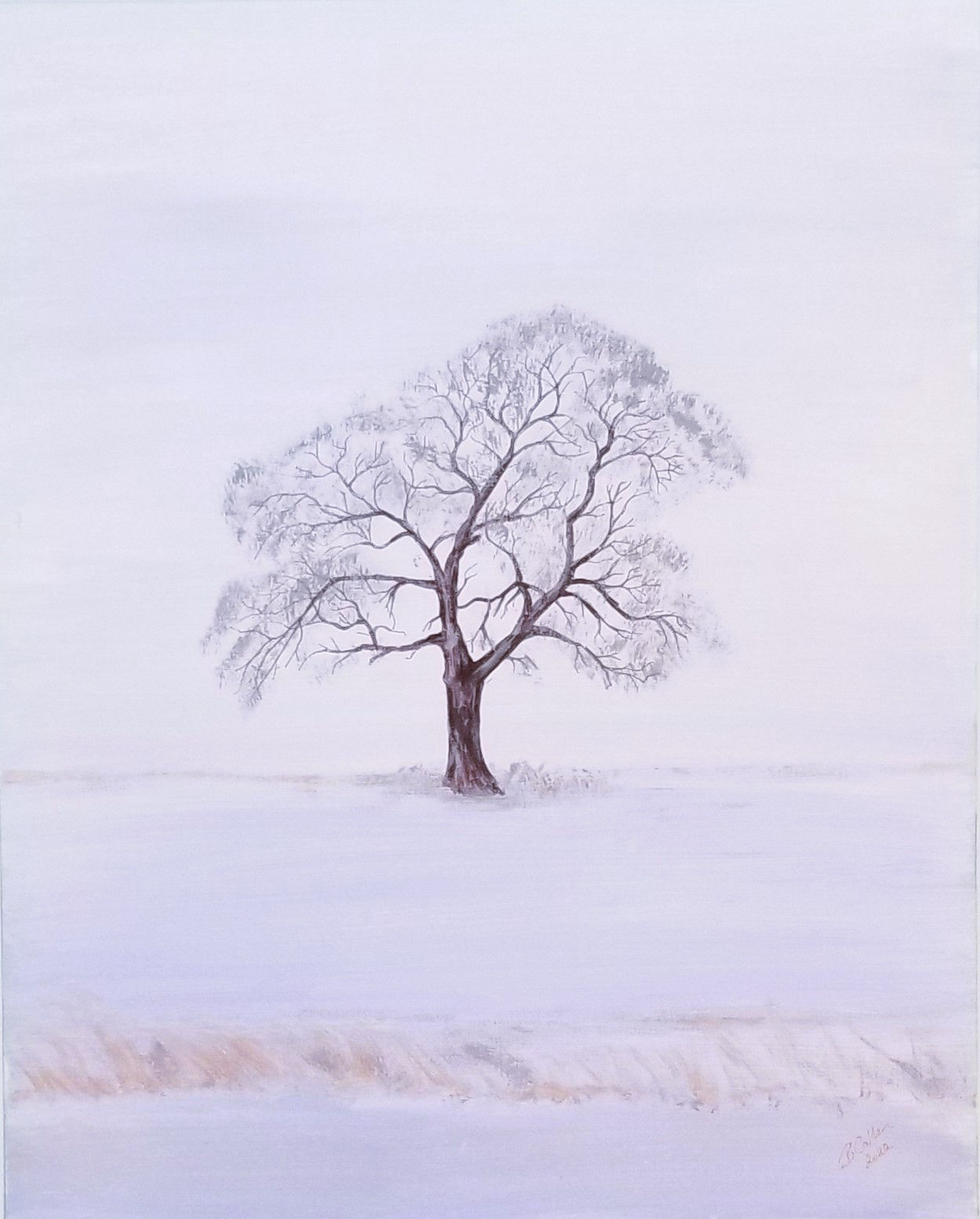 Winter Fog - Shubie Tree, NS