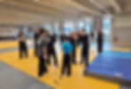 assm krav maga 662