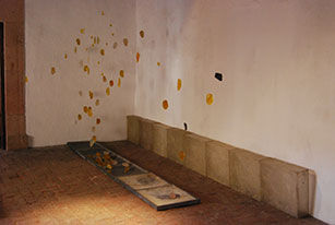 José Alvarado 24 A / Guerrero 27 Norte
