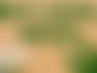 Top Reasons to Consider Buying Legal Cannabis for Your Wellness