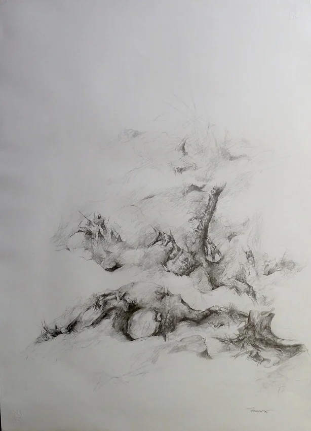 Sandra Tenconi Disegni