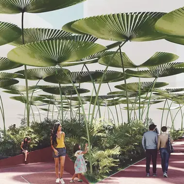 leafy, a street view of the kinetic leaves bursting wide open at midday