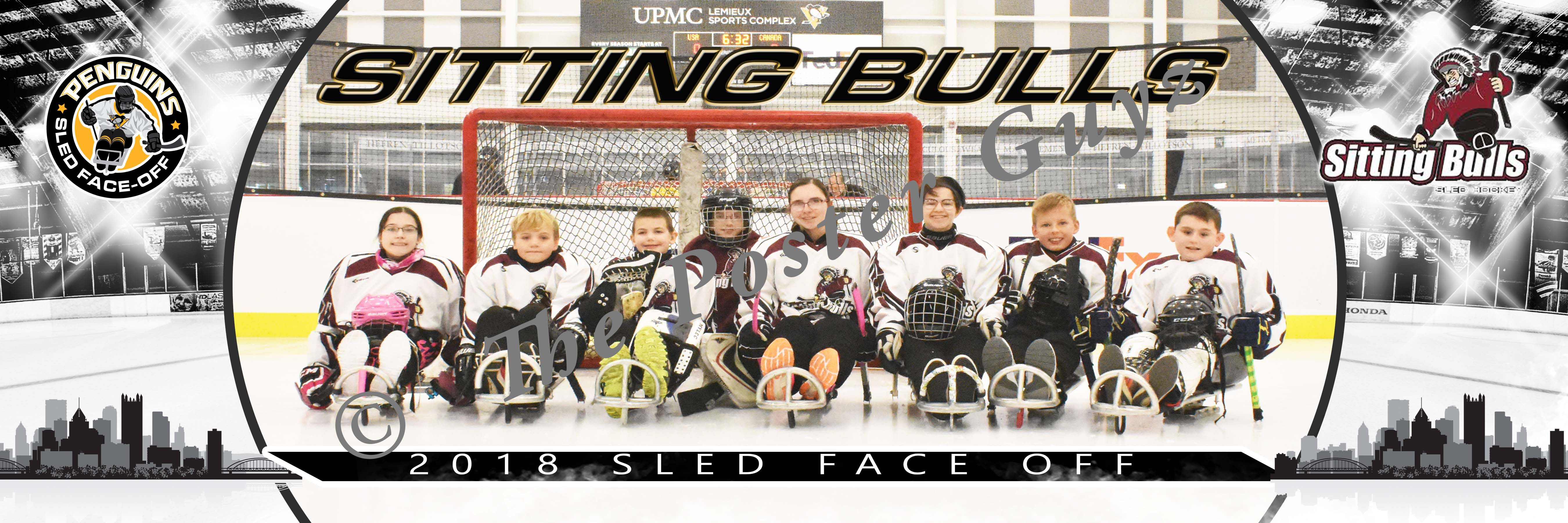 Johnstown Sitting Bulls