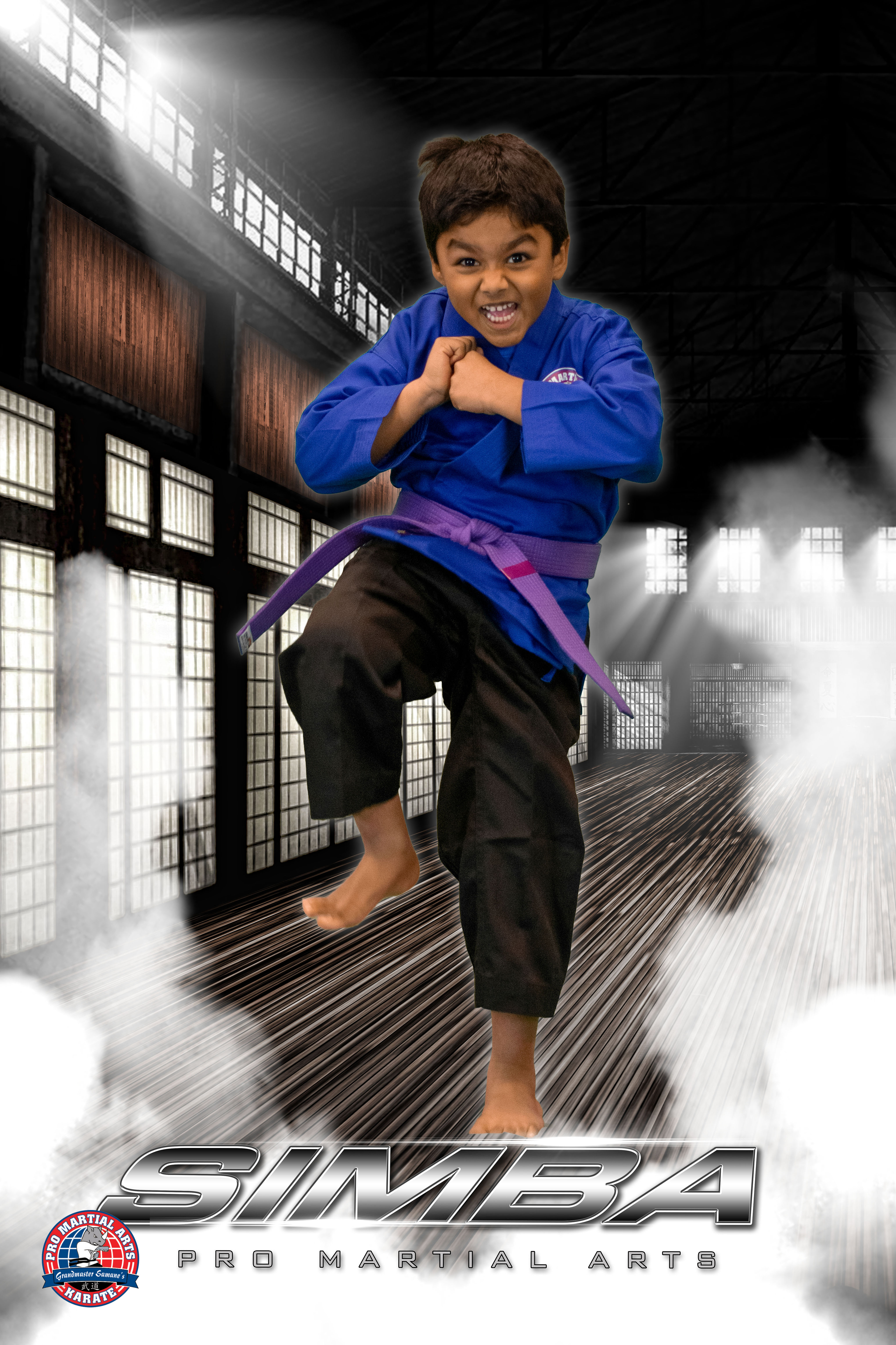 Simba - technique picture in dojo