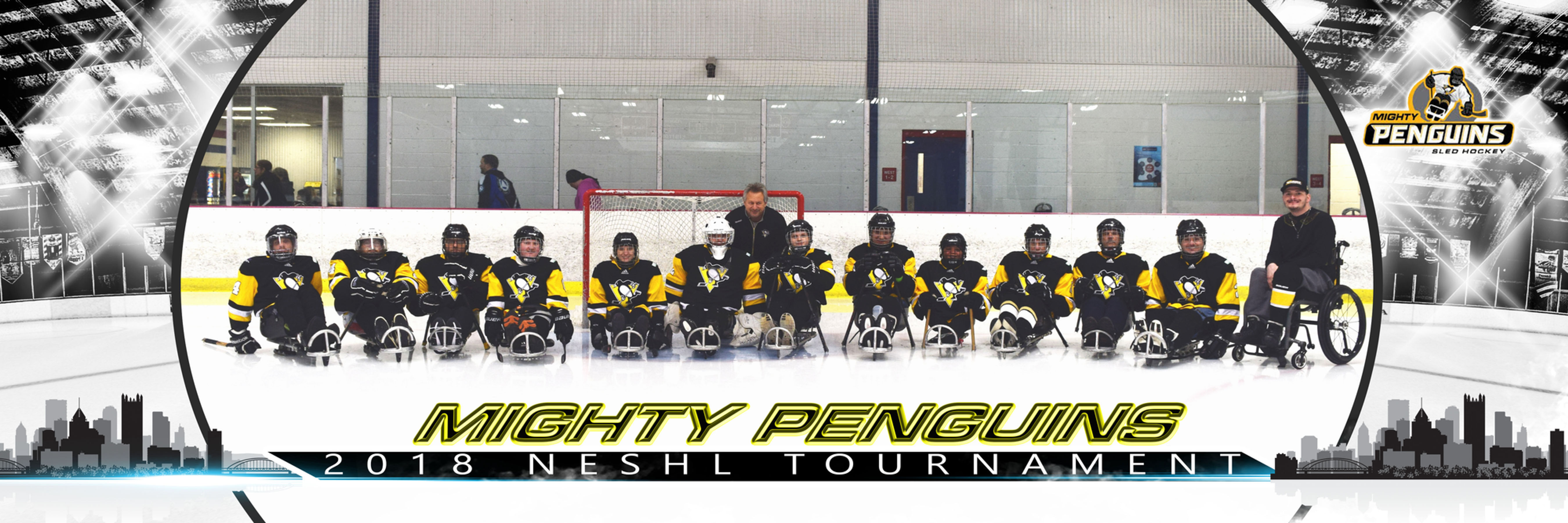 Pittsburgh Mighty Penguins