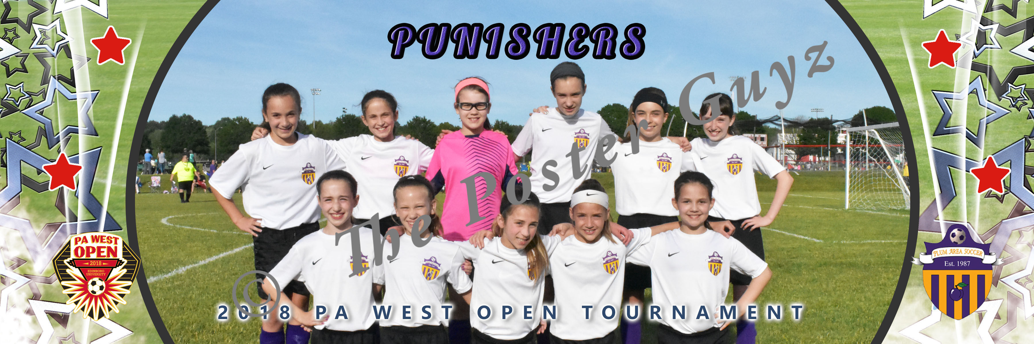 Plum Area Punishers U11G