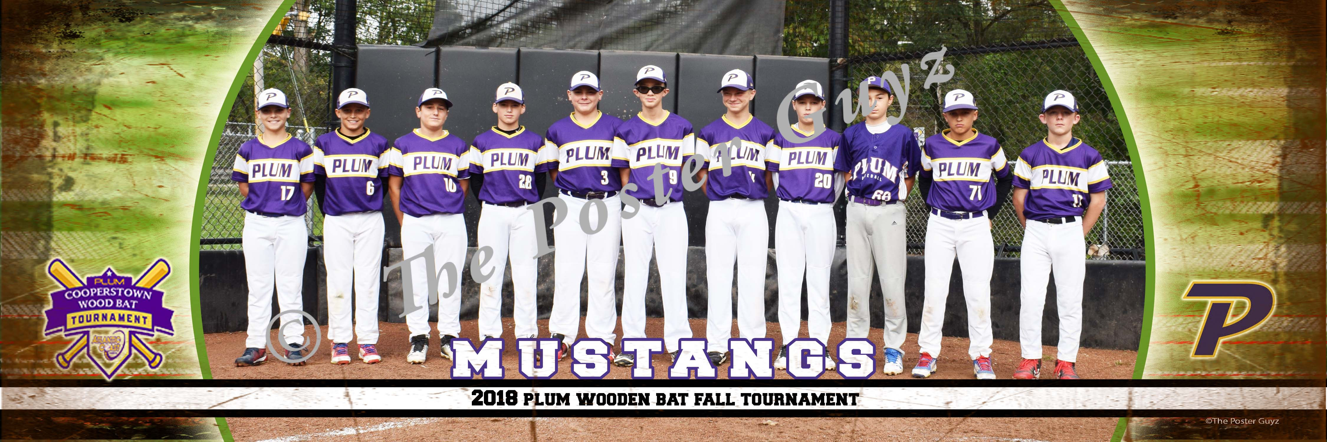 Plum Mustangs U13