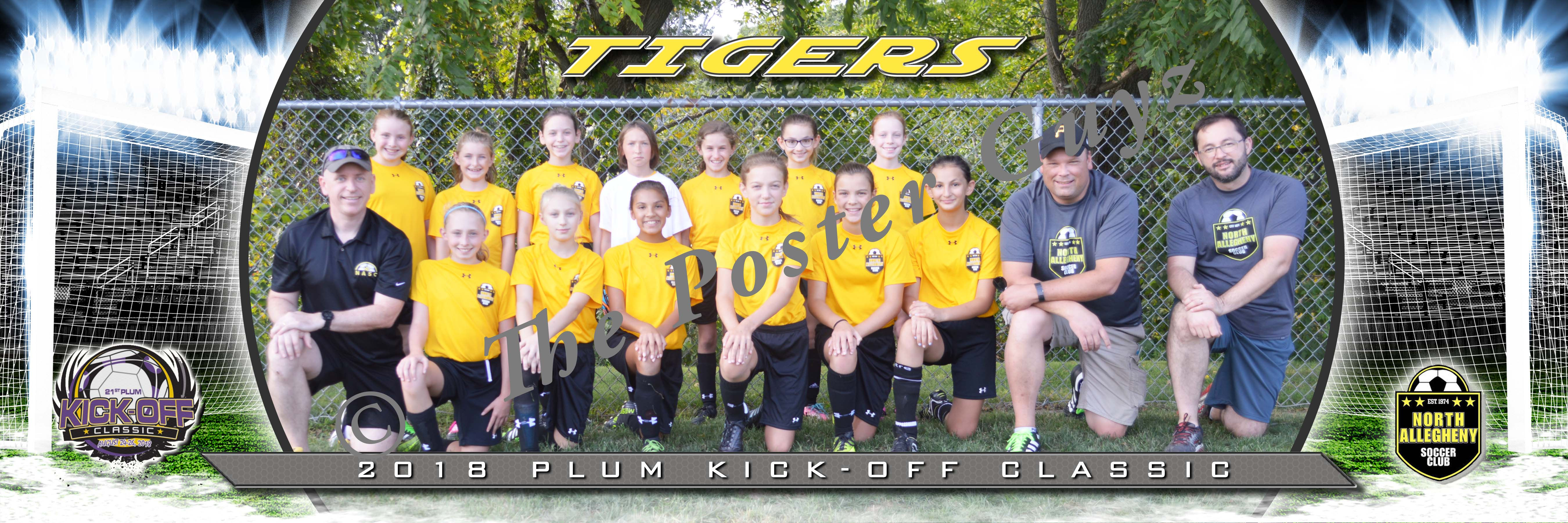 North Allegheny Tigers Welch Girls U12