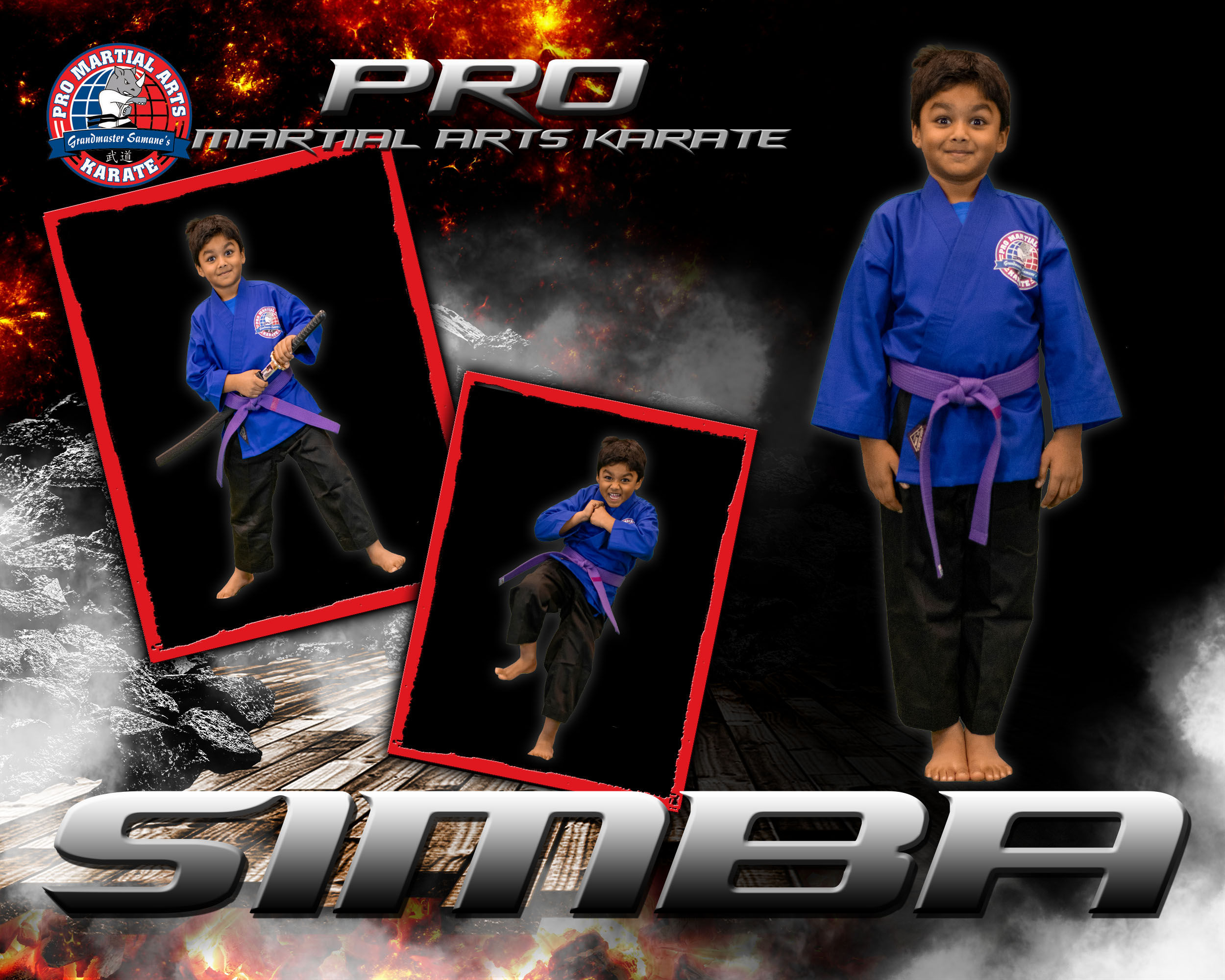 Simba - 3 picture collage