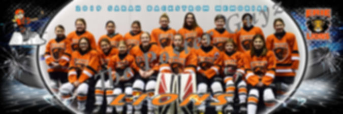 Erie Lady Lions 12 U Rec