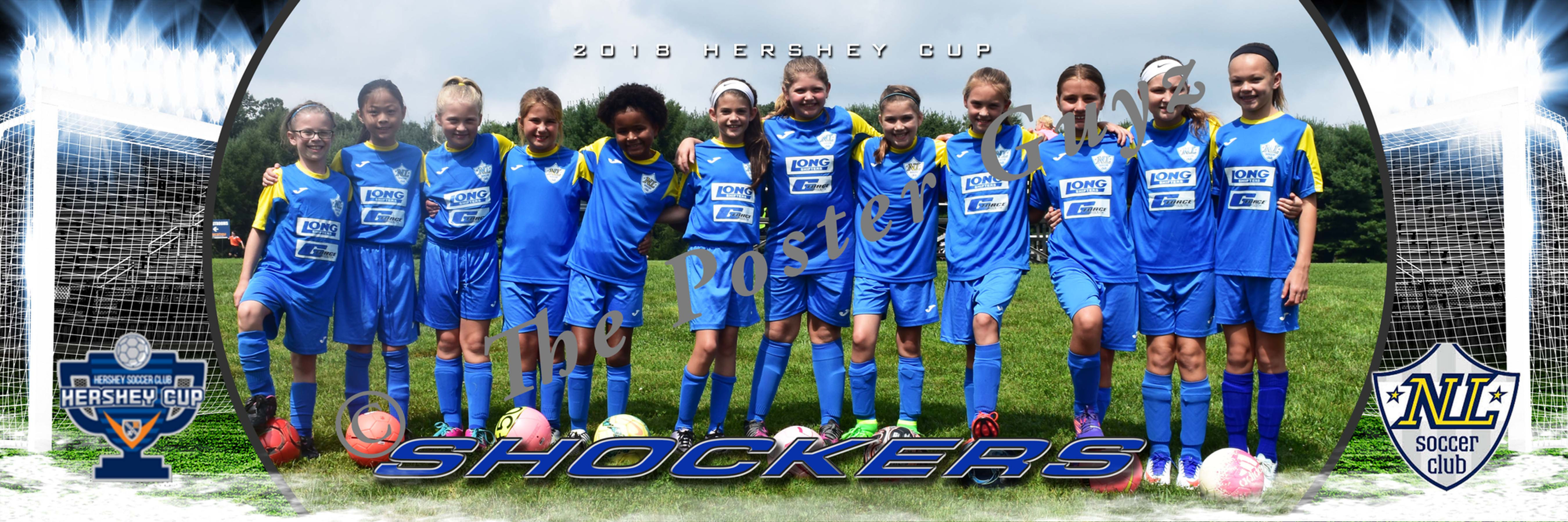 NORTHERN LEBANON SHOCKERS GU11