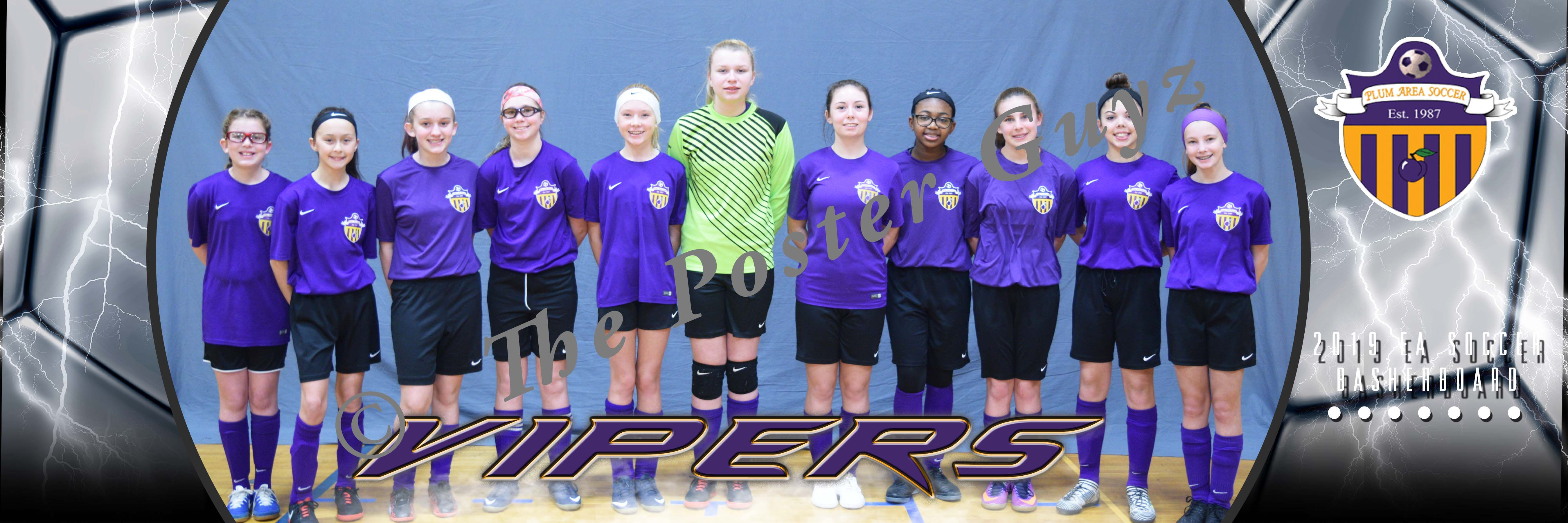 Plum Vipers U-14 Girls