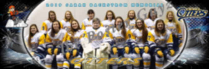 Erie Lady Jr Otters 14U Tier 2