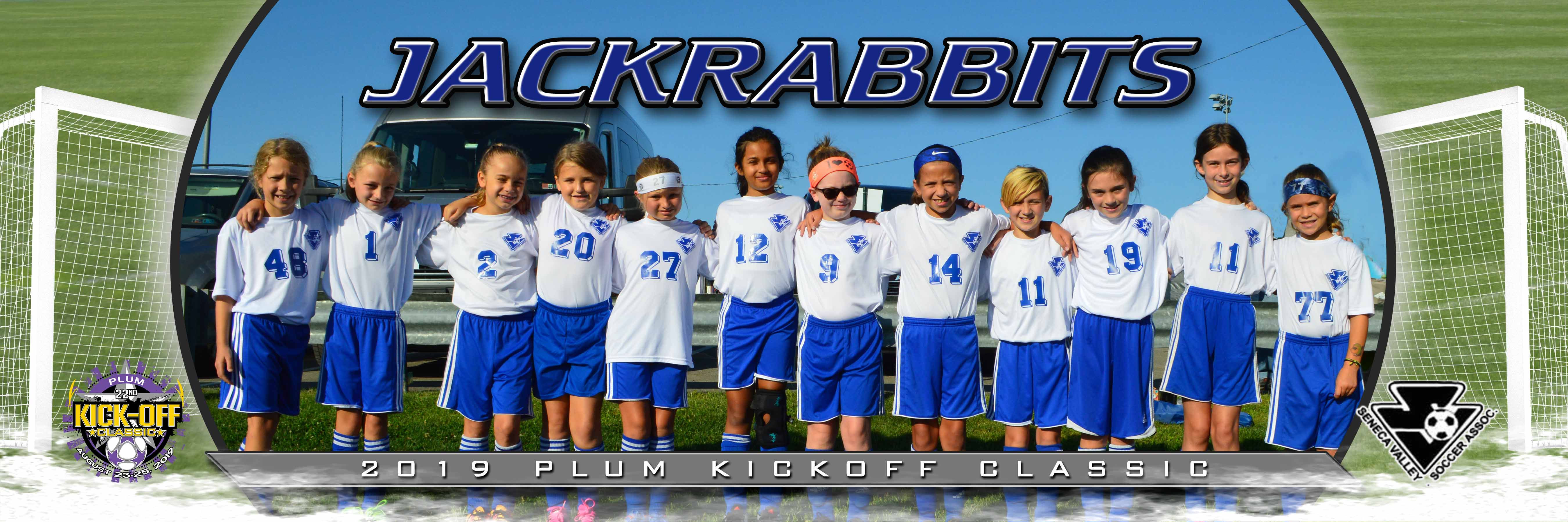 Seneca Valley Jackrabbits Girls u10 Bronze