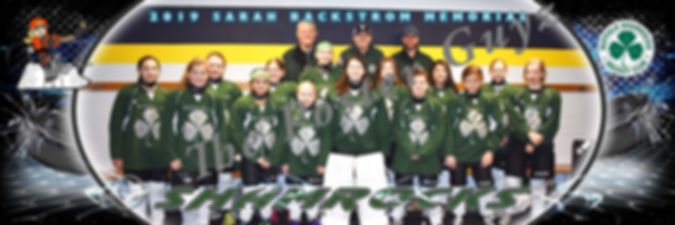Buffalo Shamrocks 12 U Rec